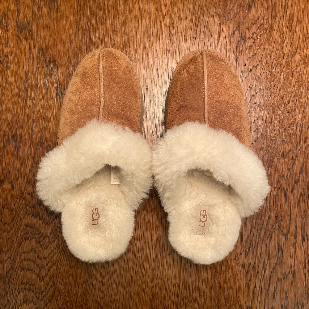 UGG Disquette slippers